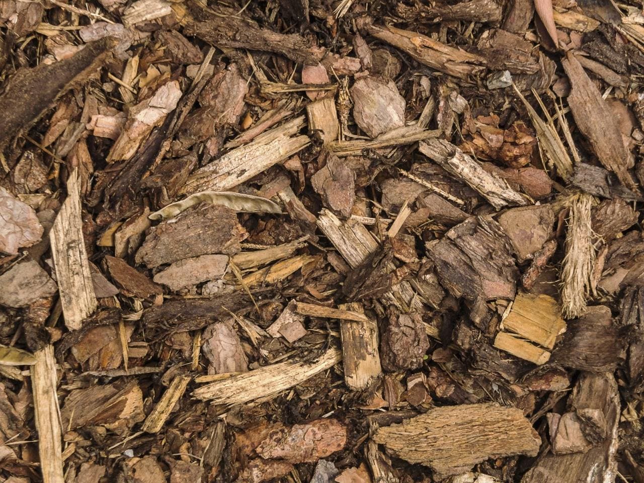 Mulch